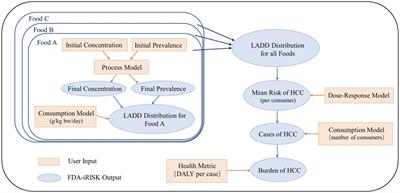 Disease burden contributed by dietary exposure to aflatoxins in a mountainous city in Southwest China
